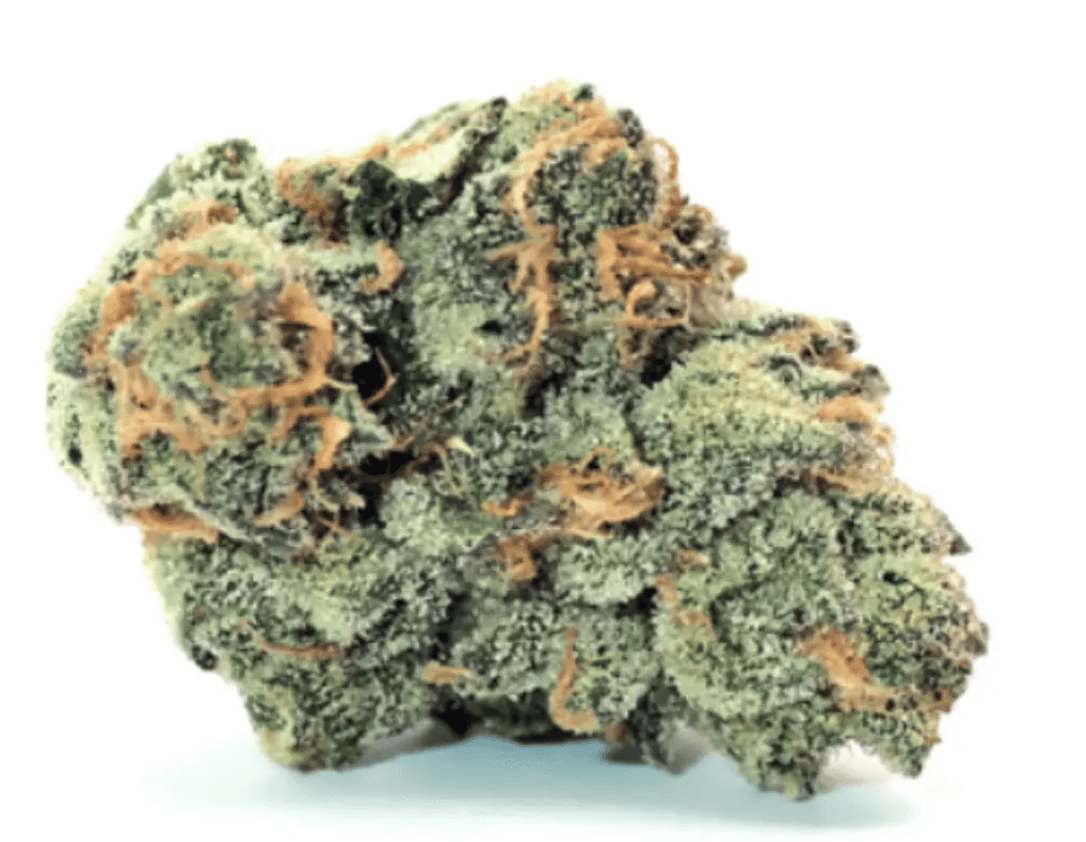 Demecan Core OZK x CC 24:01